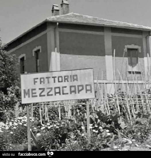 Vaccata