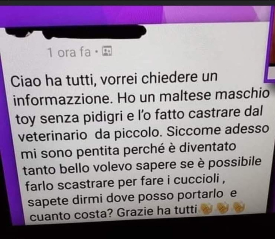 Vaccata