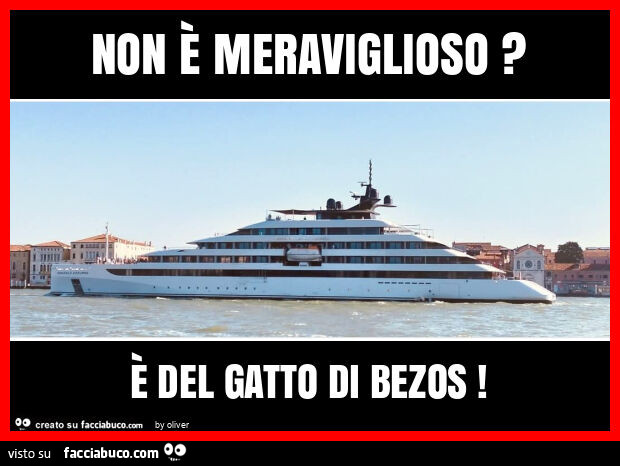 Non È meraviglioso? È Del gatto di bezos