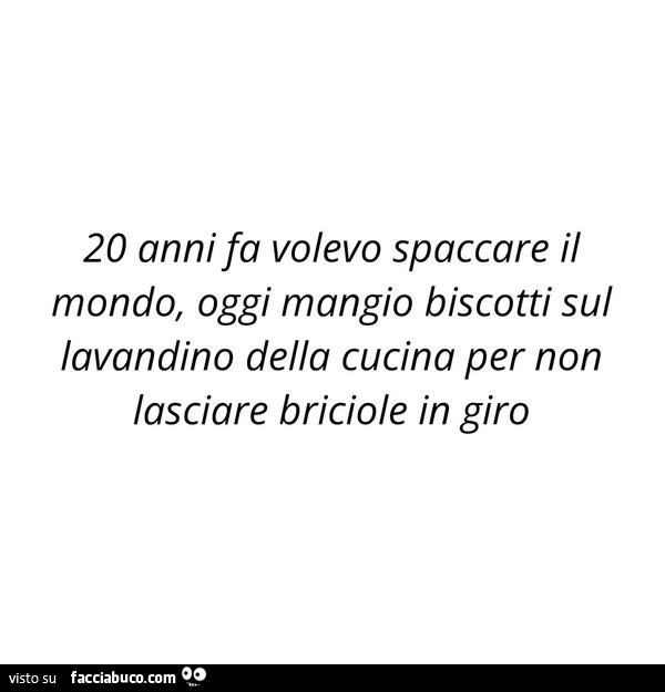 20 anni fa volevo spaccare il mondo, oggi mangio biscotti sul lavandino della cucina per non lasciare briciole in giro