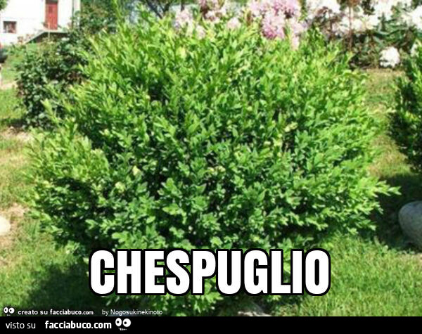 Chespuglio