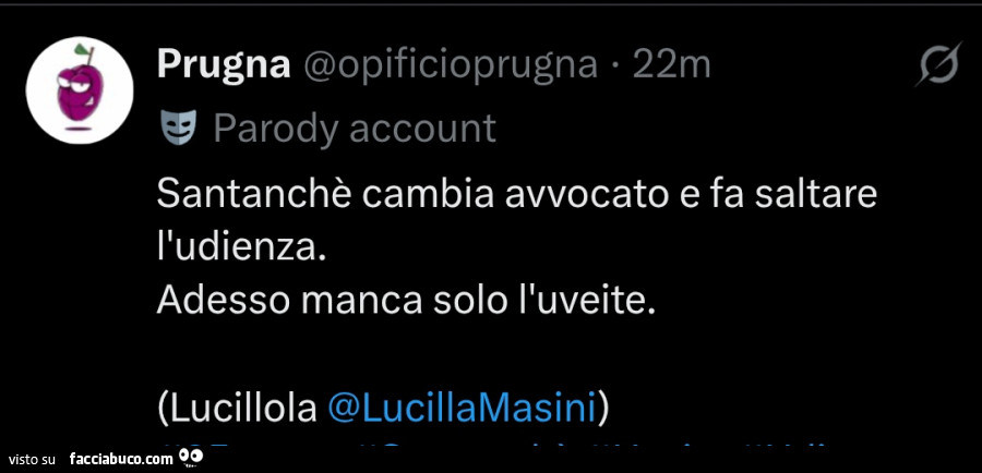 Santanchè cambia avvocato e fa saltare l'udienza. Adesso manca solo l'uveite