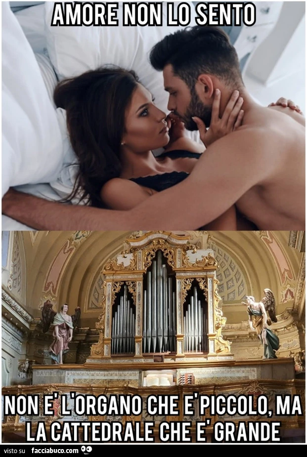 Organo