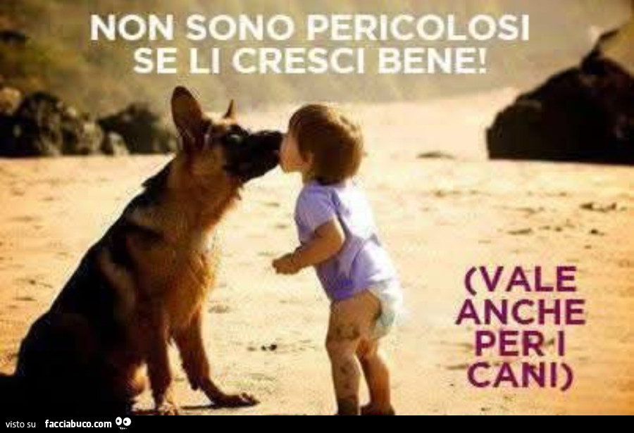 Non sono pericolosi se li cresci bene vale anche per i cani bambini