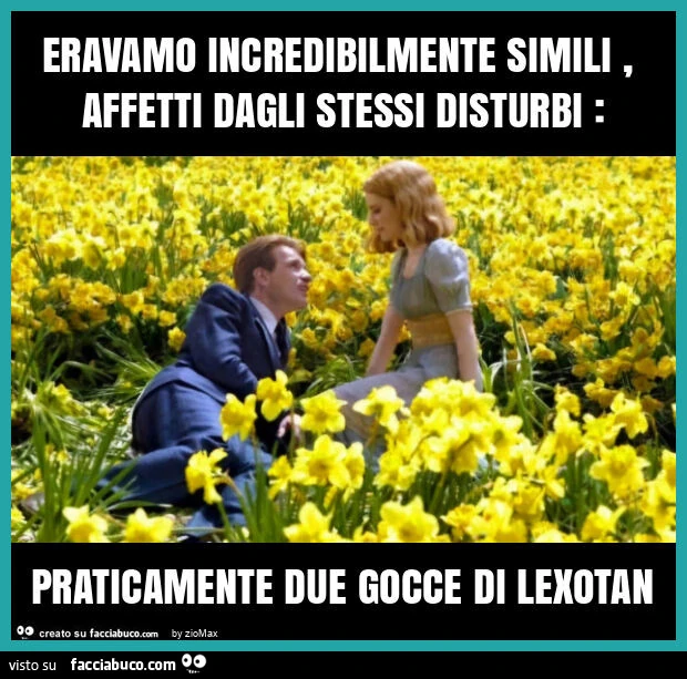Eravamo incredibilmente simili, affetti dagli stessi disturbi: praticamente due gocce di lexotan