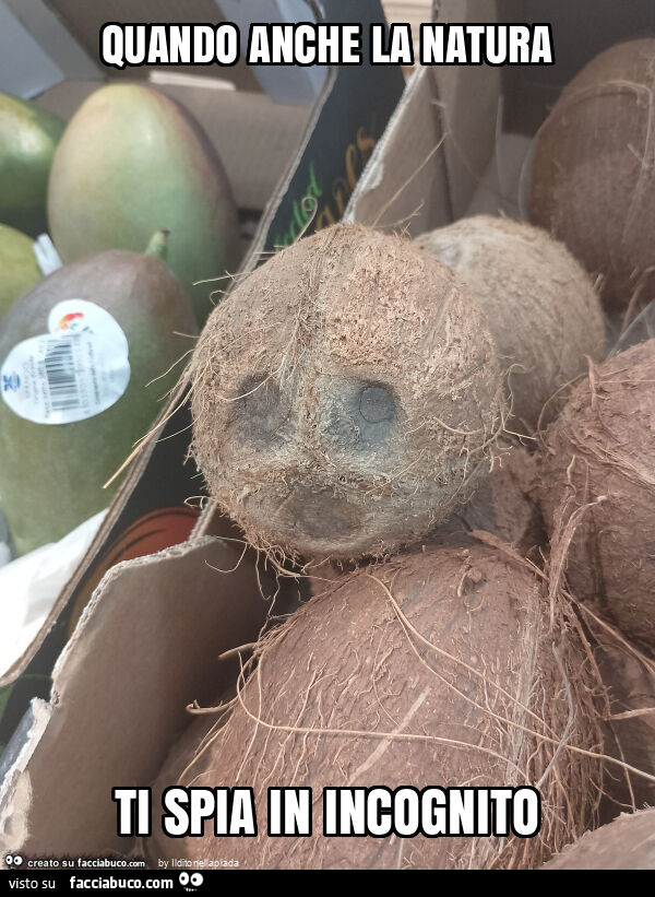 Quando anche la natura ti spia in incognito