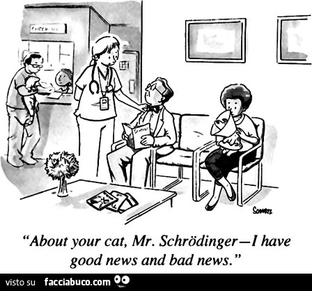 Curca il suo gatto, Mr. Schroedinger… buonenotizie e cattive notizie