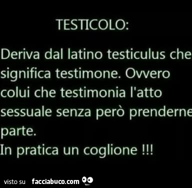 Testicolo: deriva dal latino testiculus che significa testimone. Ovvero colui che testimonia l'atto sessuale senza però prenderne parte. In pratica un coglione