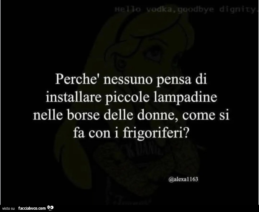 Perchè nessuno pensa di installare piccole lampadine nelle borse delle donne, come si fa con i frigoriferi?
