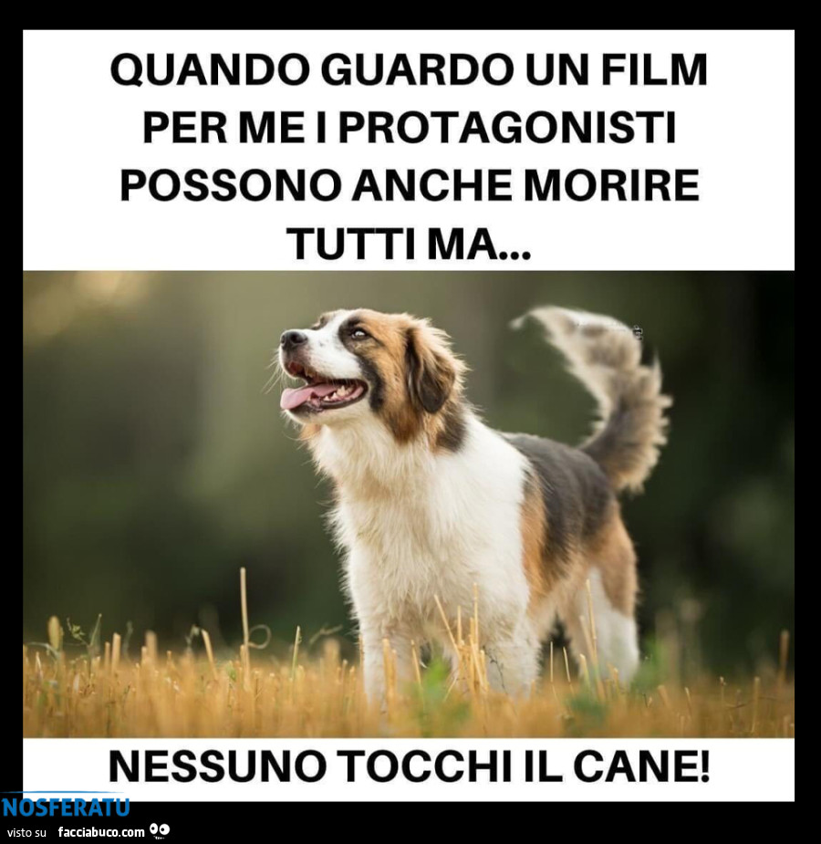 Quando guardo un film