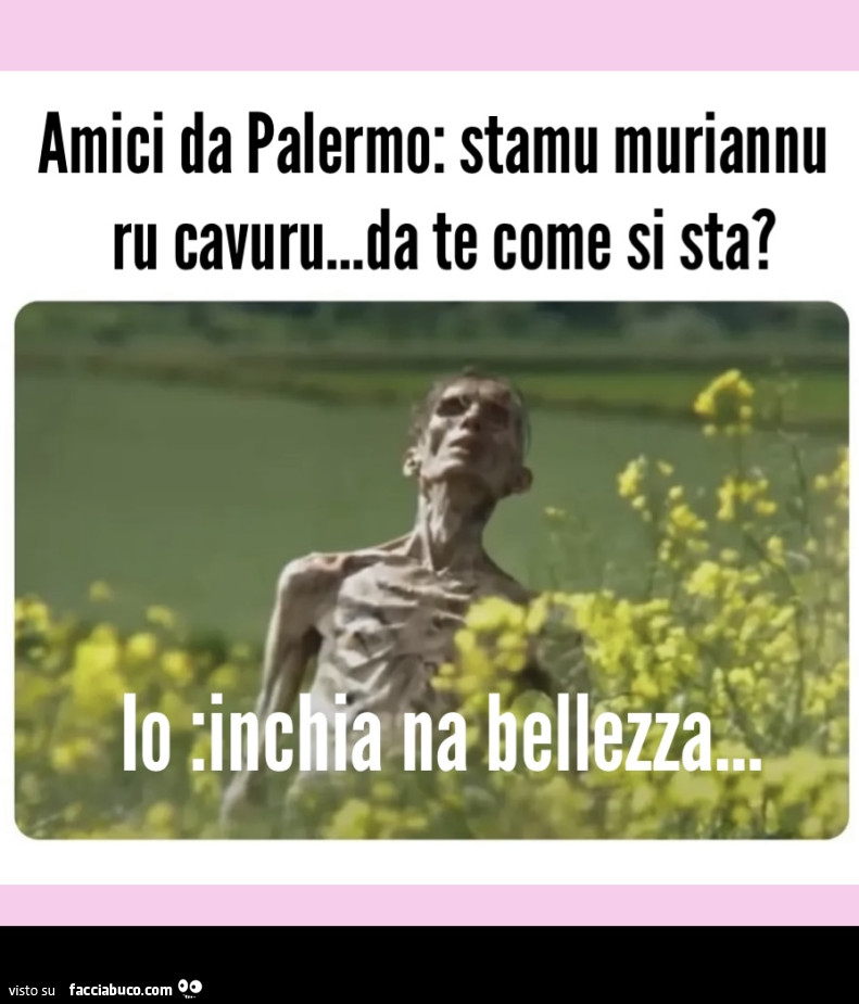 Vaccata