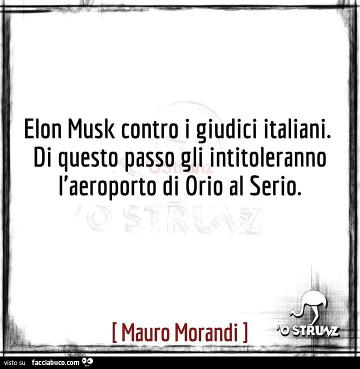 Elon Musk contro i giudici italiani. Di questo passo gli intitoleranno l'aeroporto di orio al serio