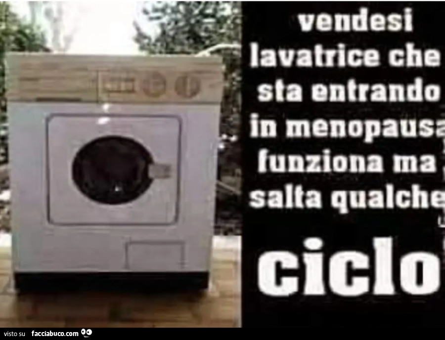 Vendesi lavatrice che sta entrando in menopausa funziona ma salta qualche ciclo