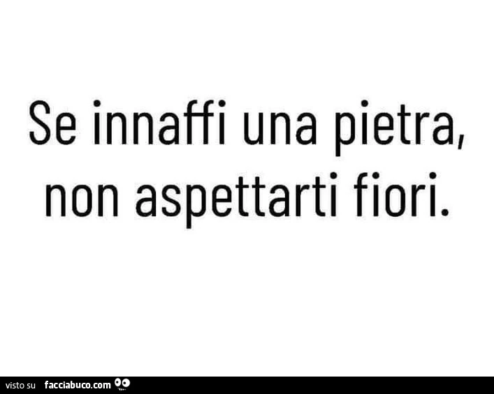 Se innaffi una pietra non aspettarti fiori