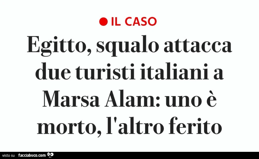 Egitto, squalo attacca due turisti italiani a marsa alam: uno è morto, l'altro ferito