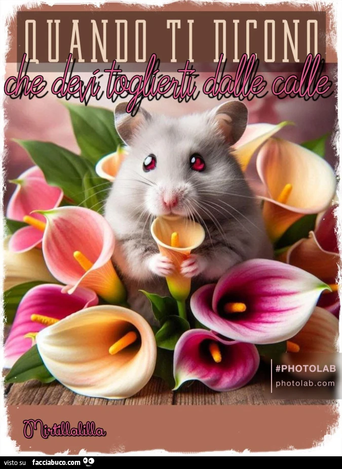Togliti dalle calle
