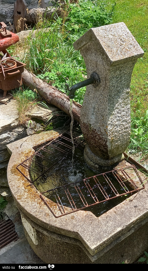 Vaccata