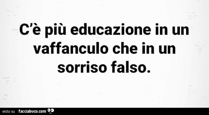 C'è più educazione in un vaffanculo che in un sorriso falso