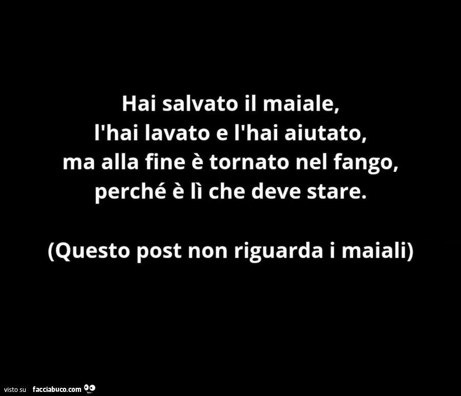 Hai salvato il maiale, l'hai lavato e l'hai aiutato, ma alla fine è tornato nel fango, perché è lì che deve stare. Questo post non riguarda i maiali
