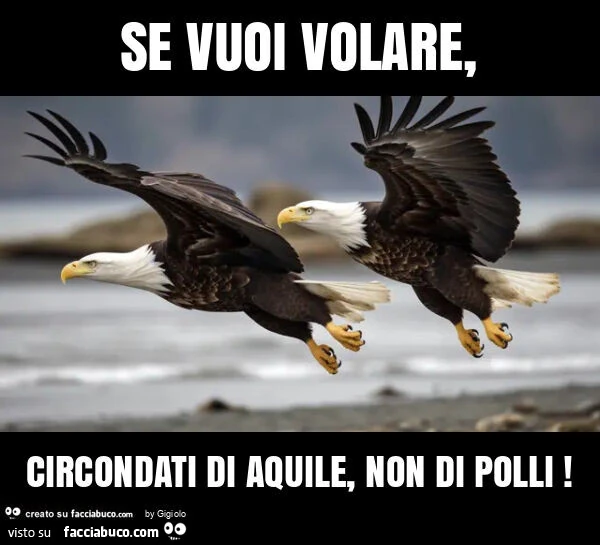 Se vuoi volare, circondati di aquile, non di polli