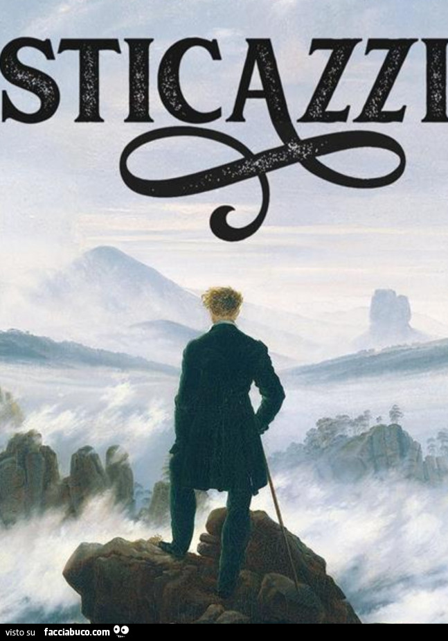 Hanno pure scritto un libro su Esticazzi di Andrea Pietrangeli