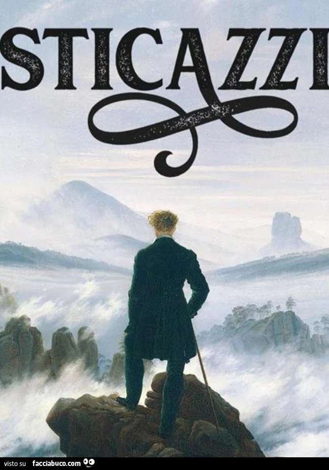 Hanno pure scritto un libro su Esticazzi di Andrea Pietrangeli