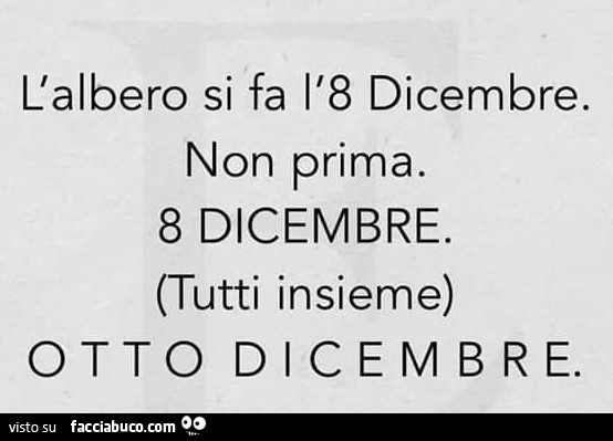 L'albero si fa l'8 dicembre. Non prima. 8 dicembre. Tutti insieme otto dicembre