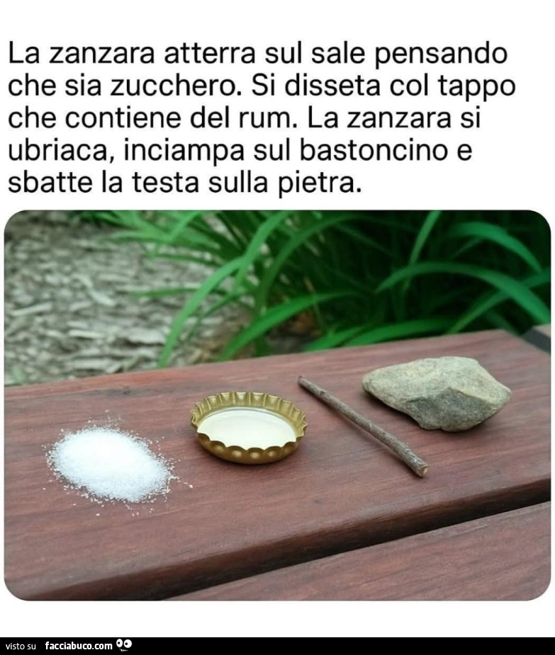 Vaccata