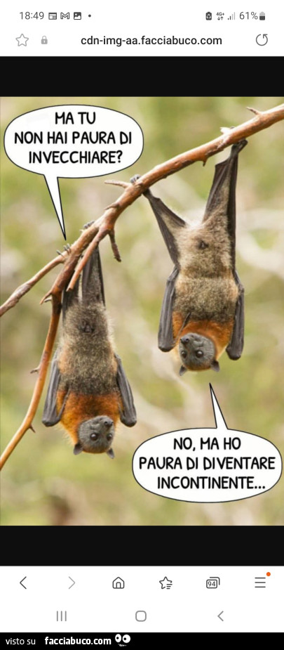 Vaccata
