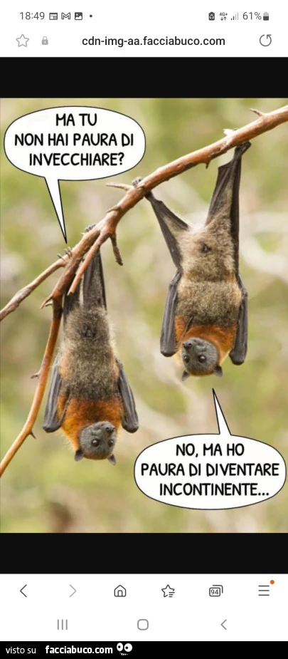 Vaccata