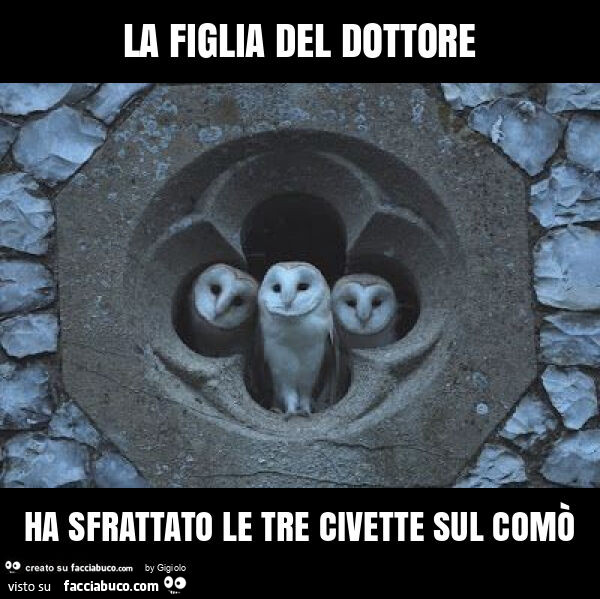 La figlia del dottore ha sfrattato le tre civette sul comò