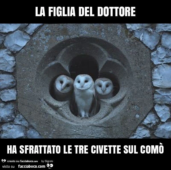 La figlia del dottore ha sfrattato le tre civette sul comò