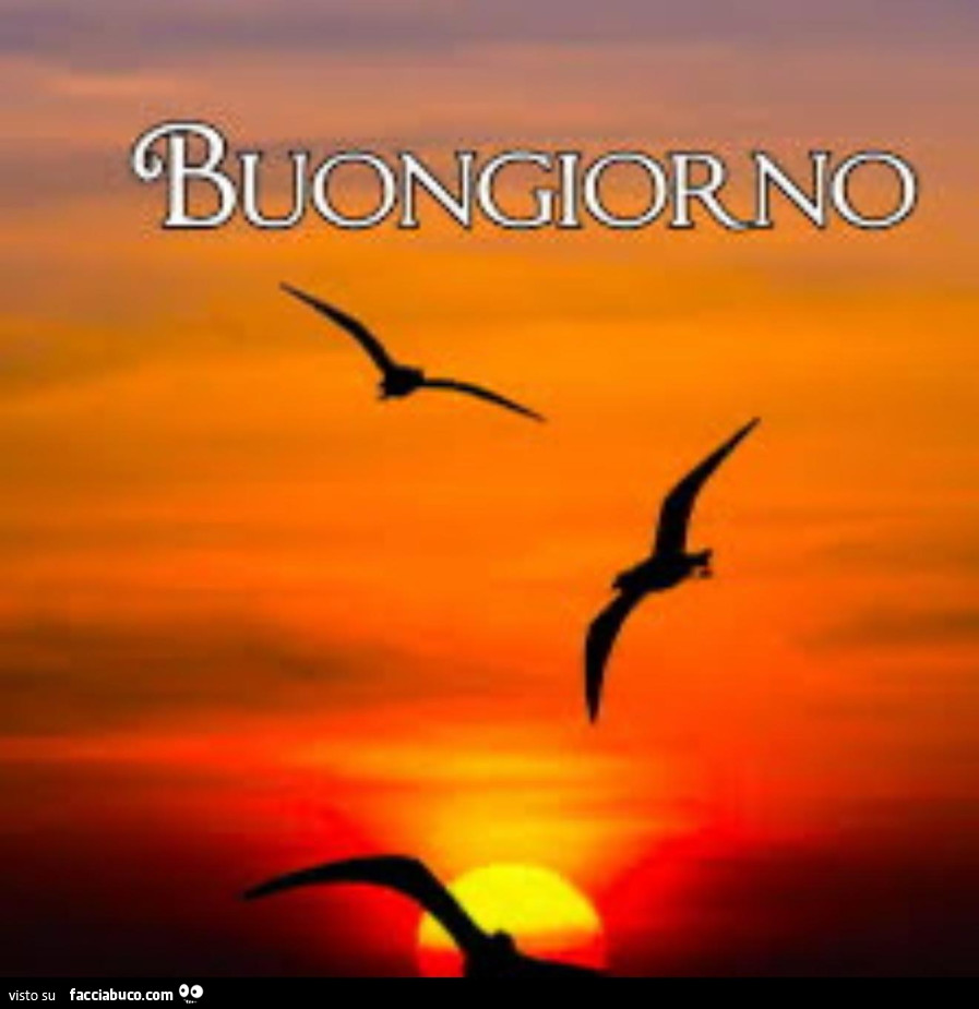 Buongiorno