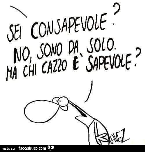 Sei consapevole? No, sono da solo. Ma chi cazzo è sapevole?
