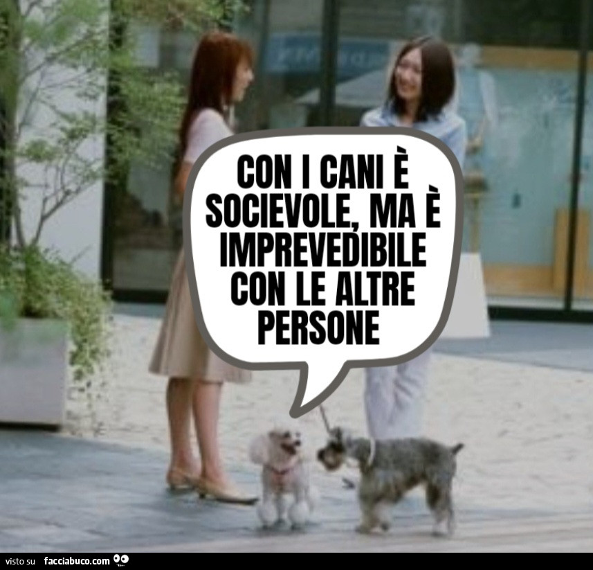 Con i cani è socievole ma è imprevedibile con le altre persone