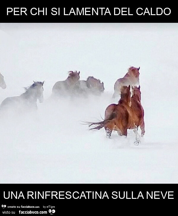 Per chi si lamenta del caldo una rinfrescatina sulla neve