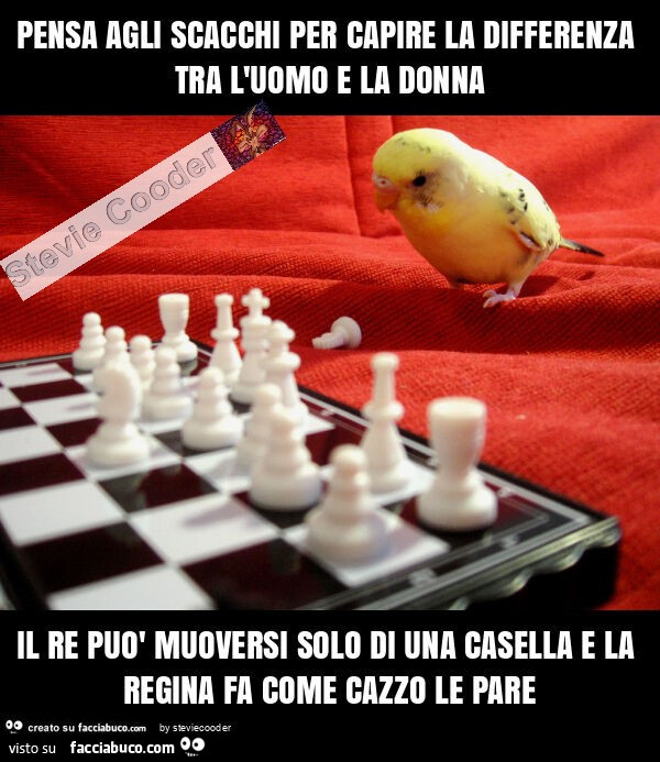 Pensa agli scacchi per capire la differenza tra l'uomo e la donna il re può muoversi solo di una casella e la regina fa come cazzo le pare