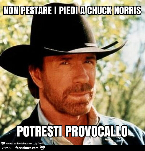 Non pestare i piedi a chuck norris potresti provocallo