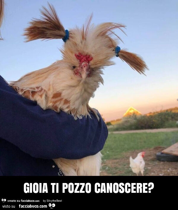 Gioia ti pozzo canoscere?