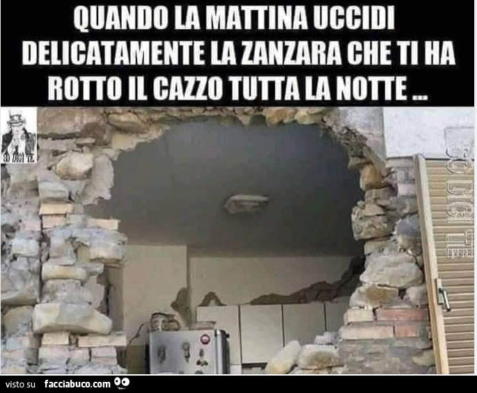 Vaccata