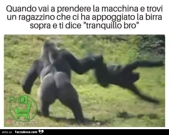 Vaccata