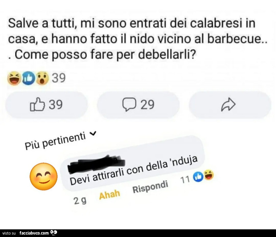 Salve a tutti mi sono entrati dei calabresi in casa e hanno fatto il nido vicino al barbecue come posso fare per debellarli devi attirarli con della nduja