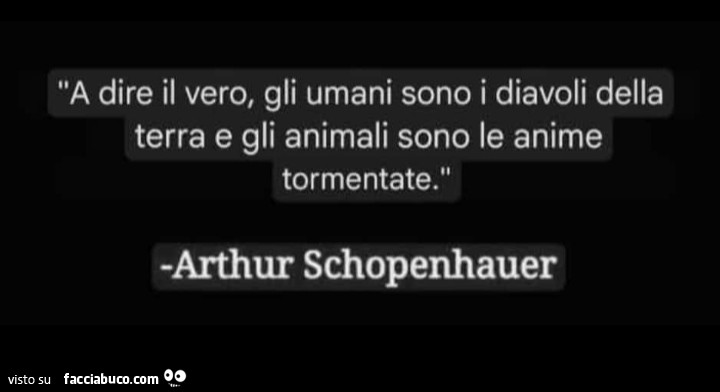 A dire il vero, gli umani sono i diavoli della terra e gli animali sono le anime tormentate. Arthur Schopenhauer