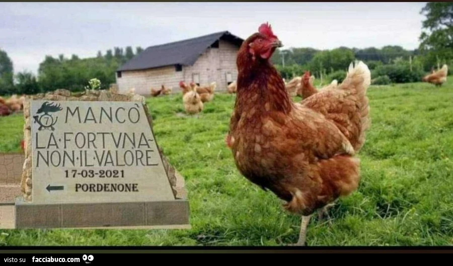 Vaccata