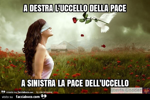 A destra l'uccello della pace a sinistra la pace dell'uccello