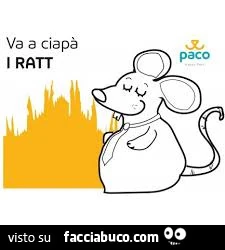 Va a ciapà i ratt