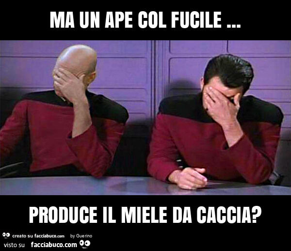 Ma un ape col fucile… produce il miele da caccia?