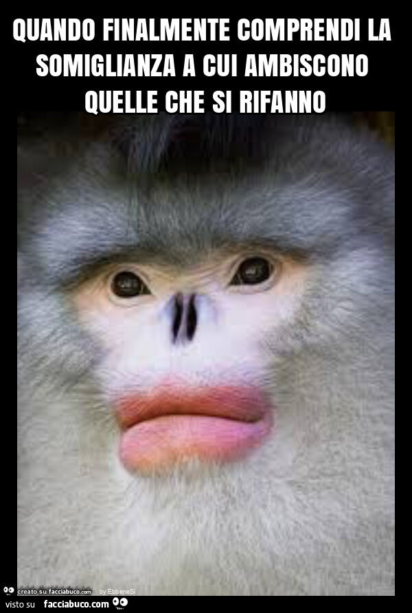 Quando finalmente comprendi la somiglianza a cui ambiscono quelle che si rifanno