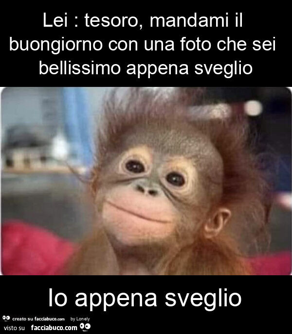 Lei: tesoro, mandami il buongiorno con una foto che sei bellissimo appena sveglio io appena sveglio