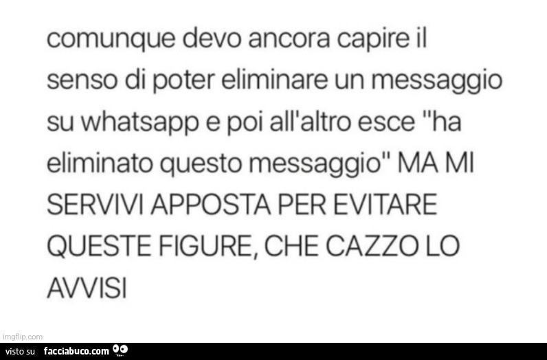 Comunque devo ancora capire il senso di poter eliminare un messaggio su whatsapp e poi all'altro esce ha eliminato questo messaggio ma mi servivi apposta per evitare queste figure, che cazzo lo avvisi